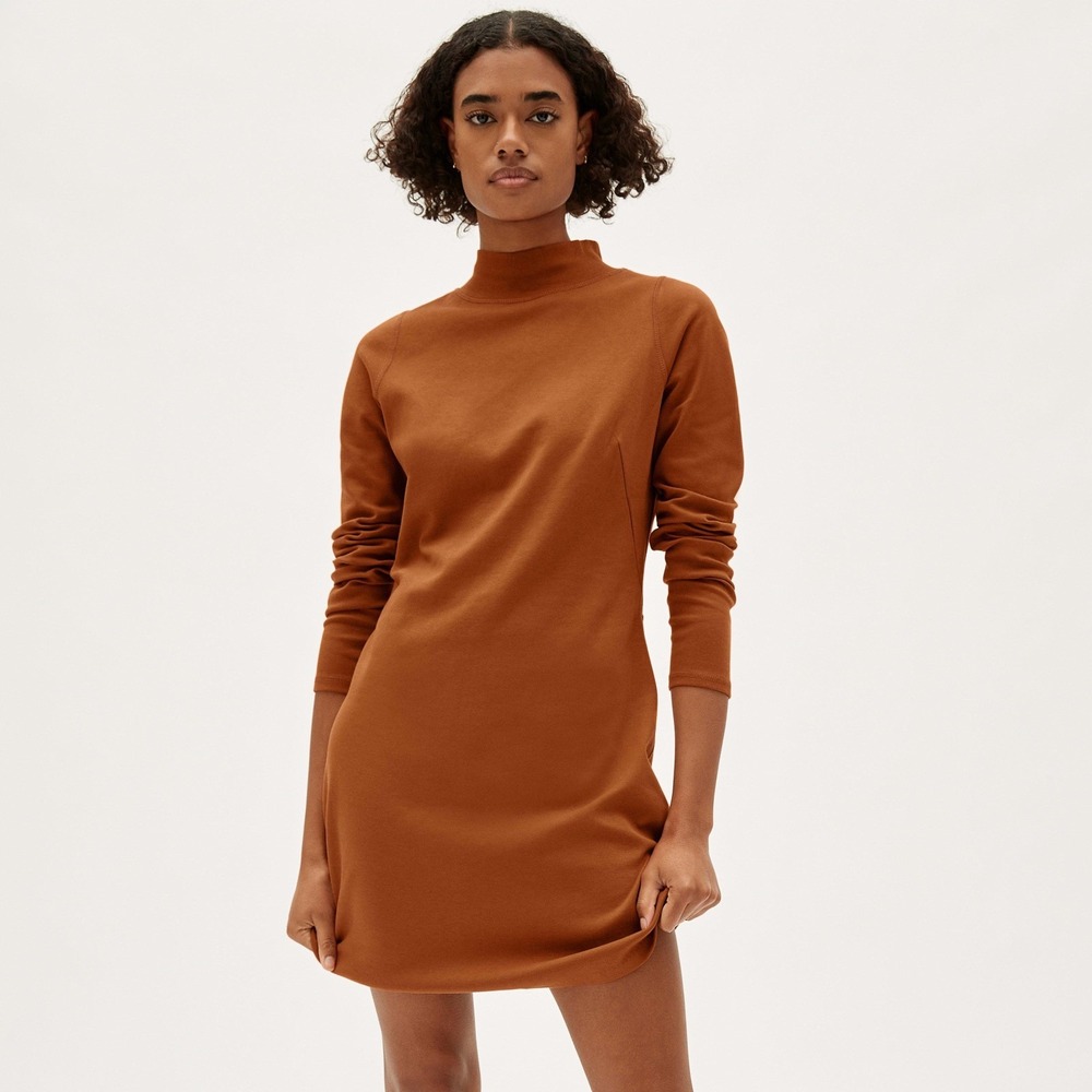 EVERLANE Thick Cotton Knit Long Sleeve Mock Neck Dress in Rust Size M NWT Boho